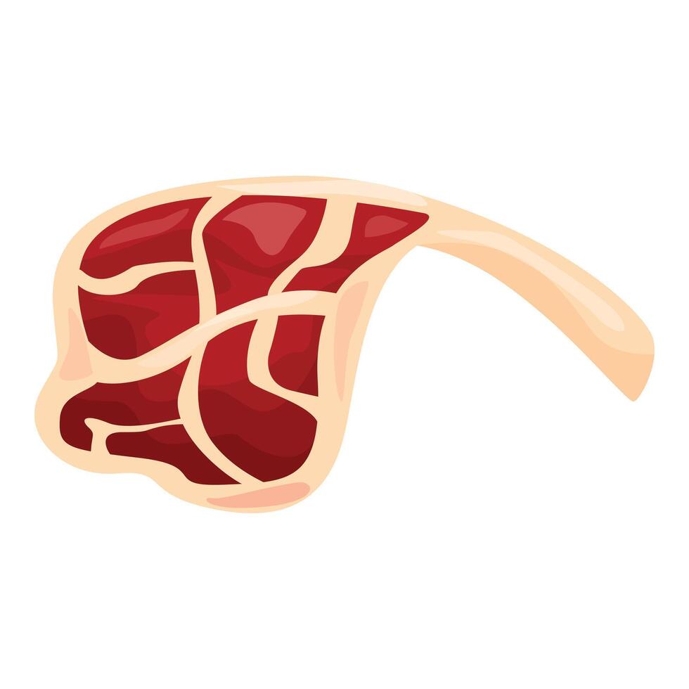 Fresh red meat chop showing marbling detail vector