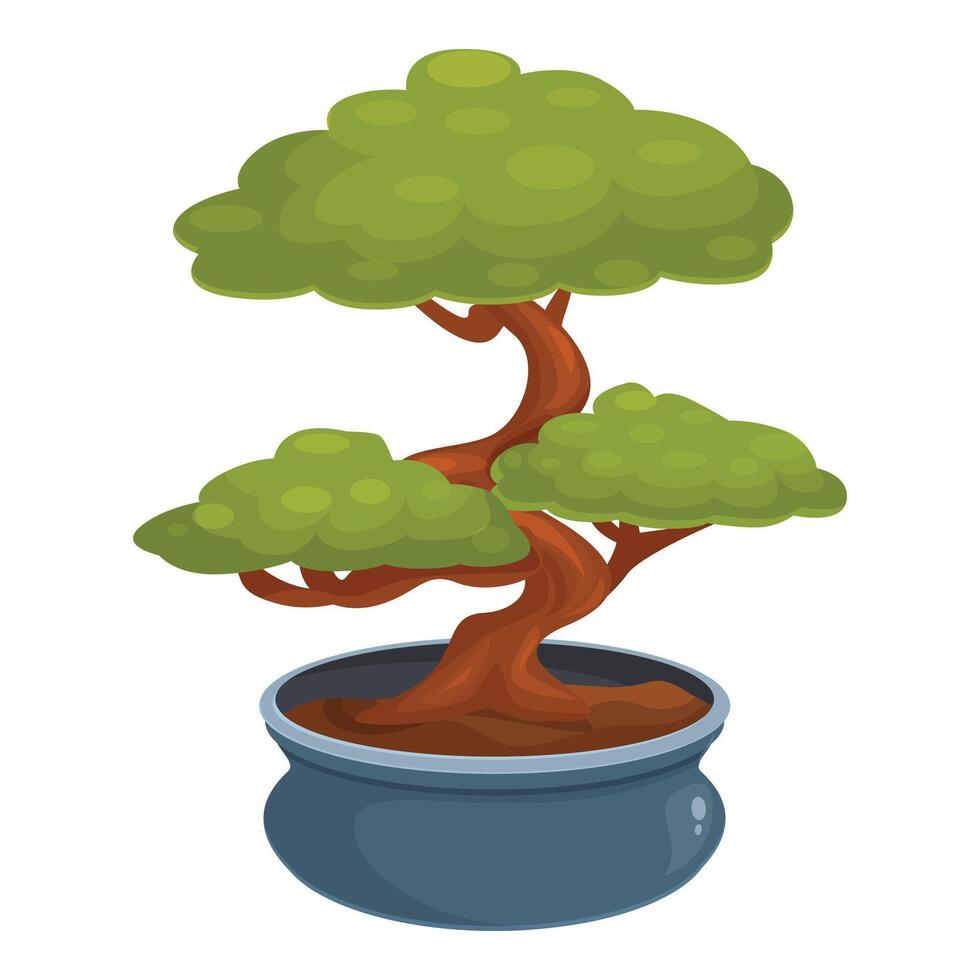 Small bonsai tree growing in a pot on white background vector