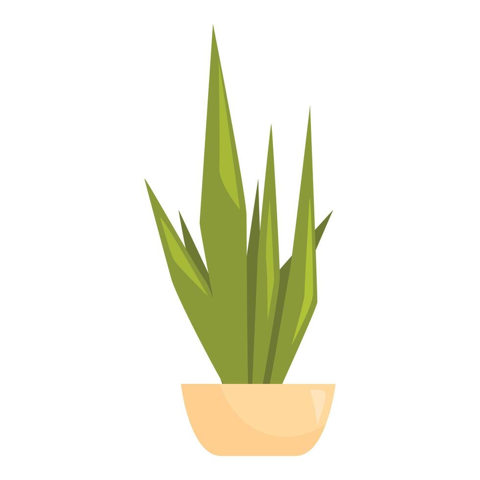 Green houseplant growing in pot on white background vector