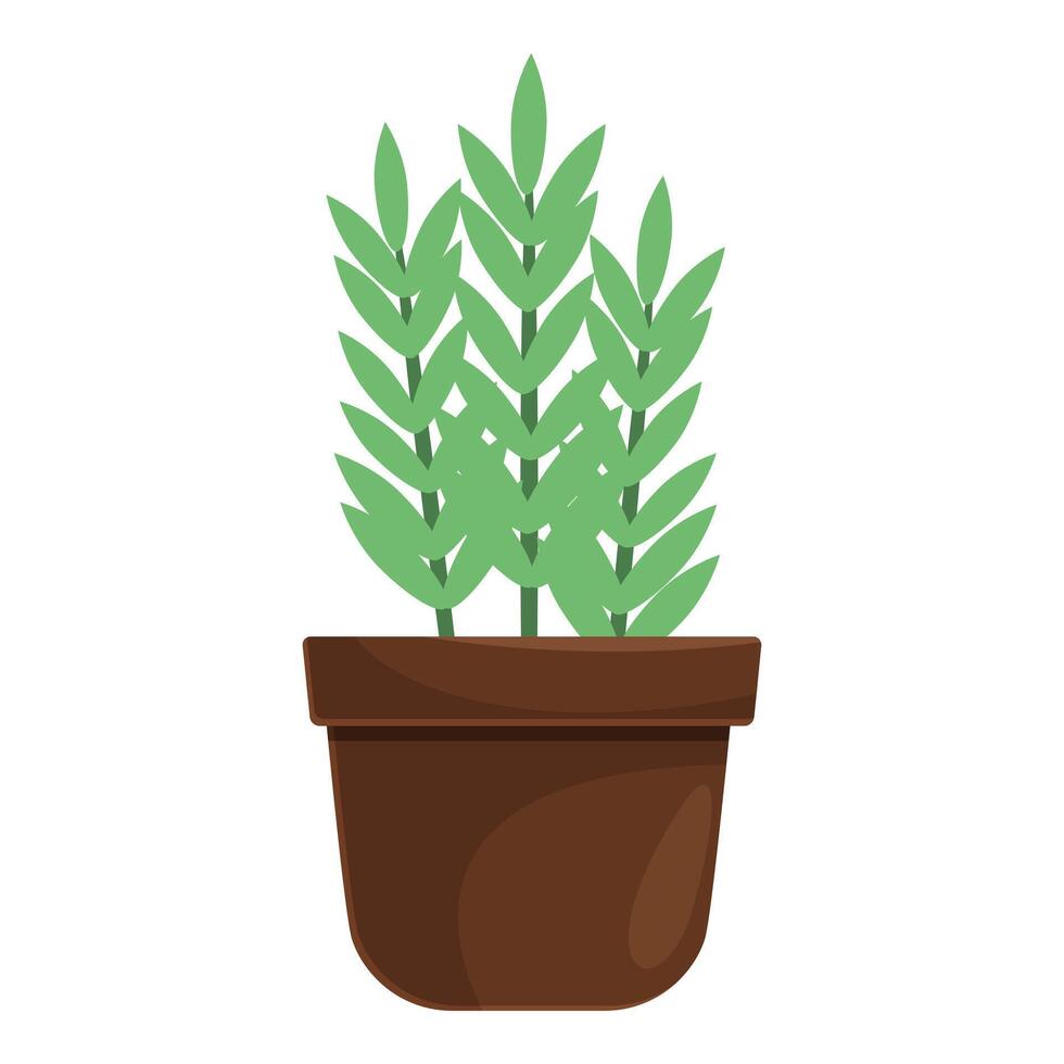 Green plant growing in a pot on white background vector
