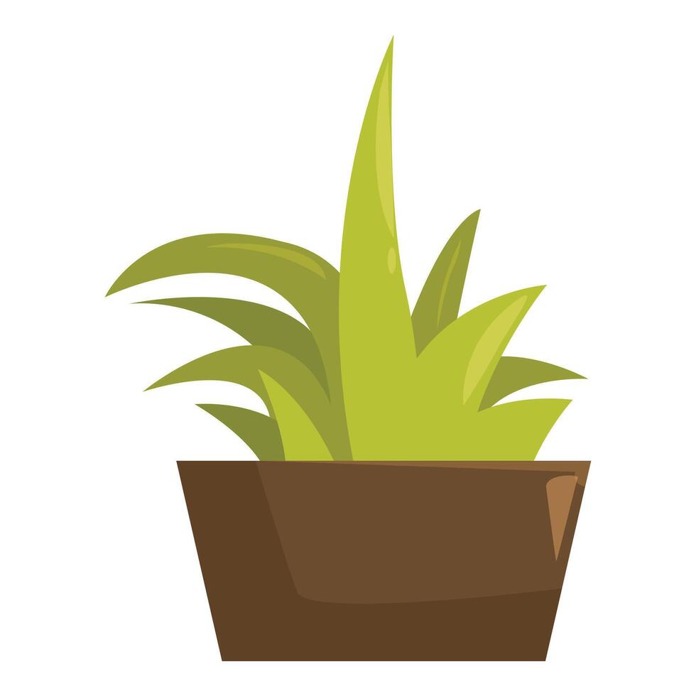 Green plant growing in pot with long leaves vector