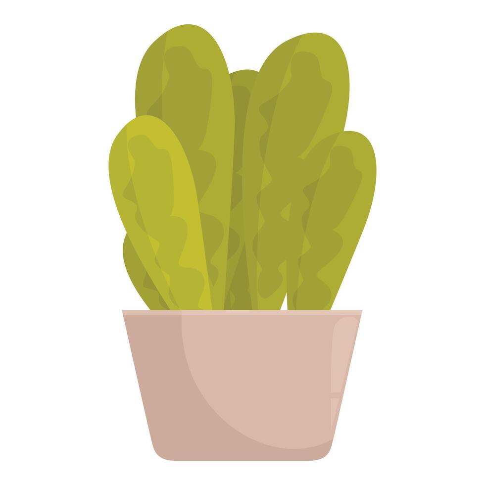 Green house plant growing in pot with big leaves vector