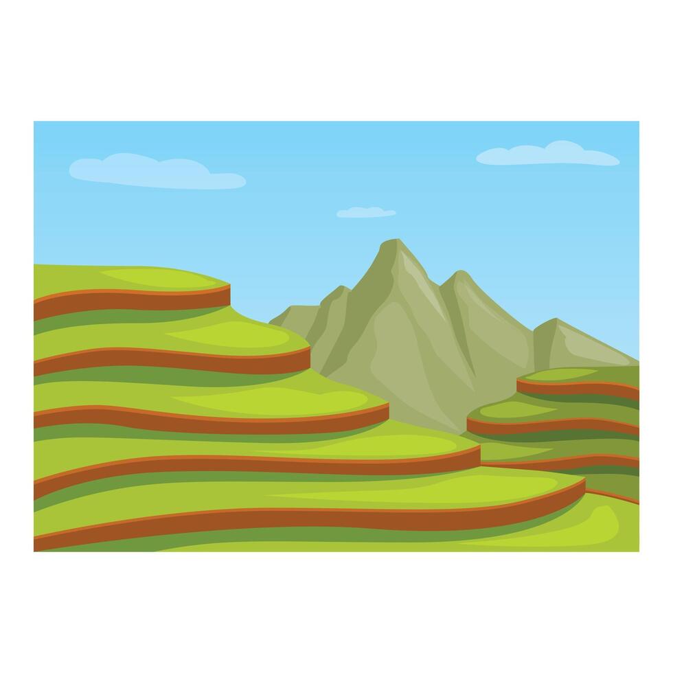 Green rice terraces forming steps cultivated on mountain slopes vector