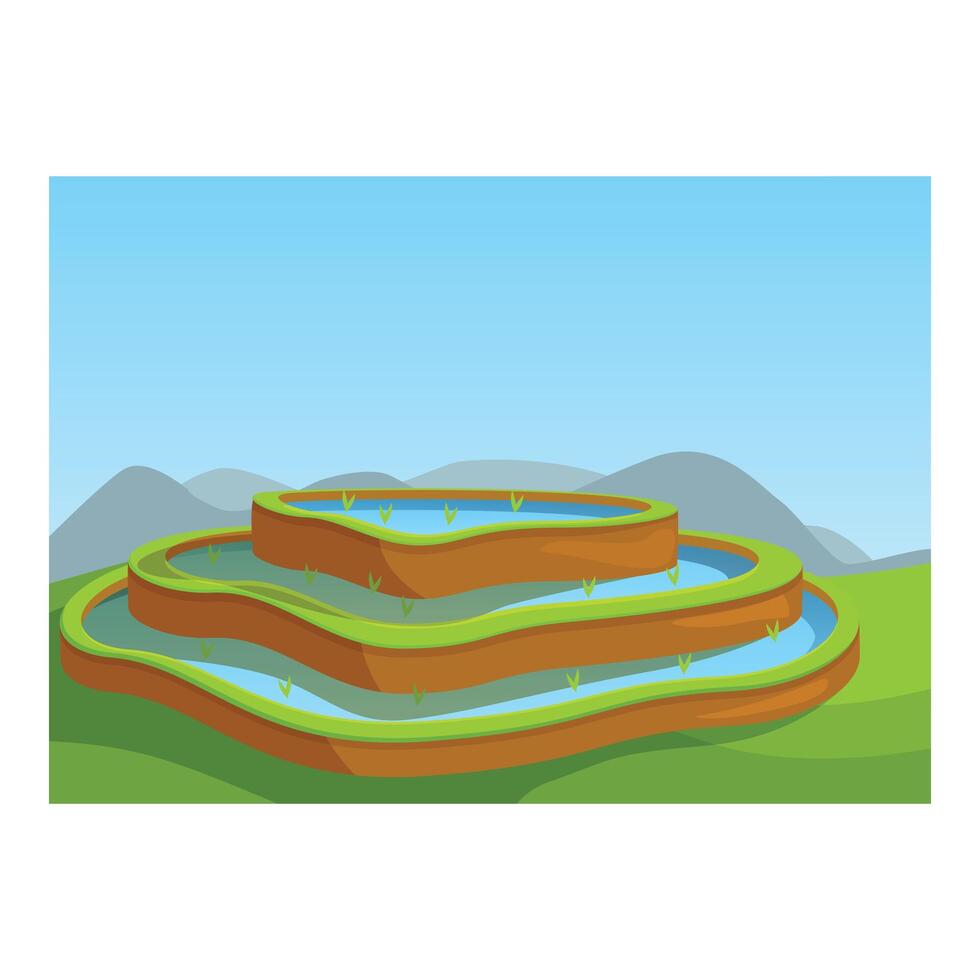 Rice paddy field farming terrace plantation in mountain valley cartoon illustration vector