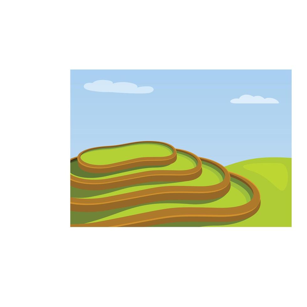Green rice terraces forming steps cultivated on hillside under blue sky with clouds vector