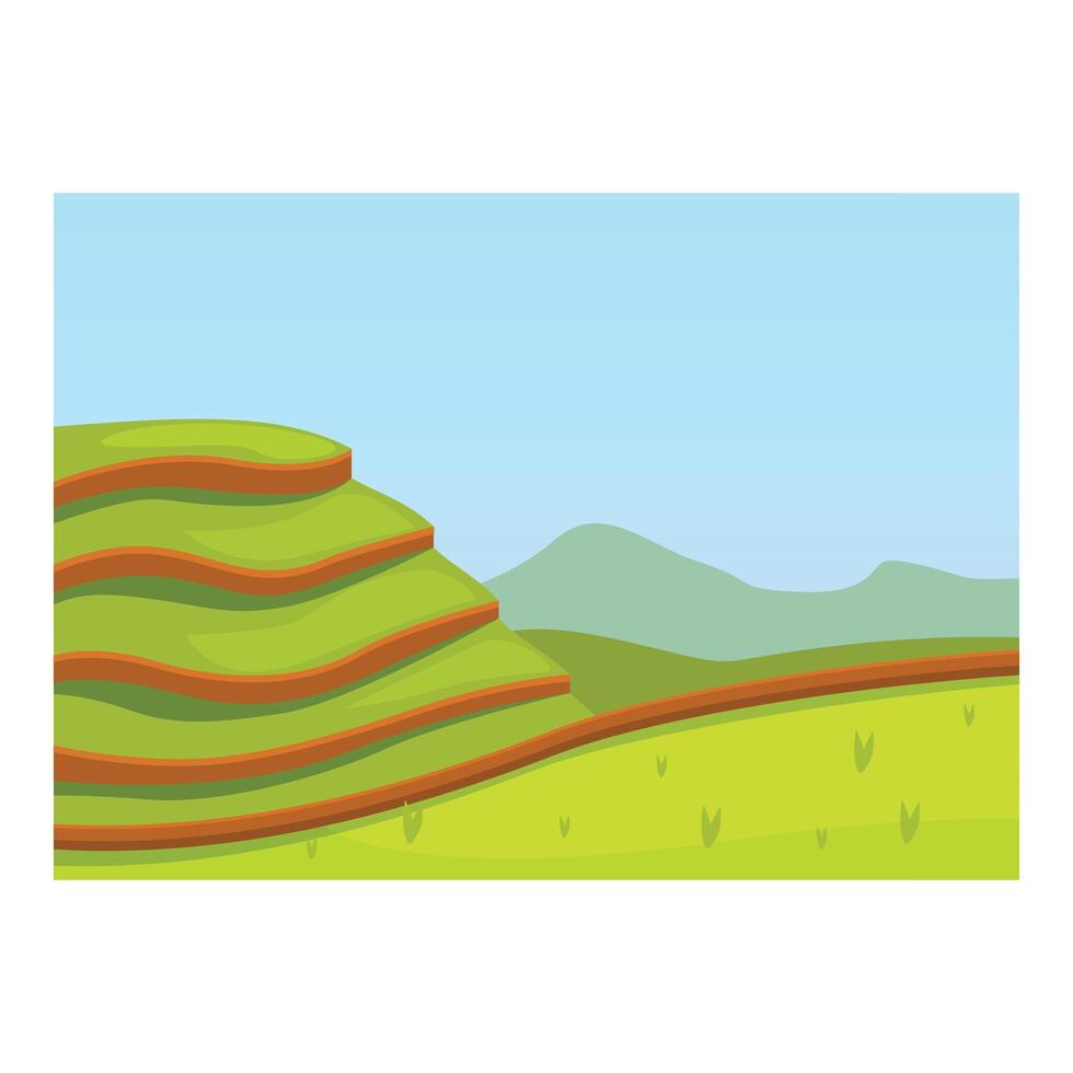 Green rice paddy field stretching to the horizon under blue sky vector