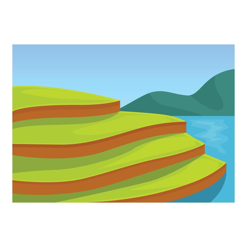 Green rice paddy fields terraces by the lake with mountains in background cartoon style illustration vector