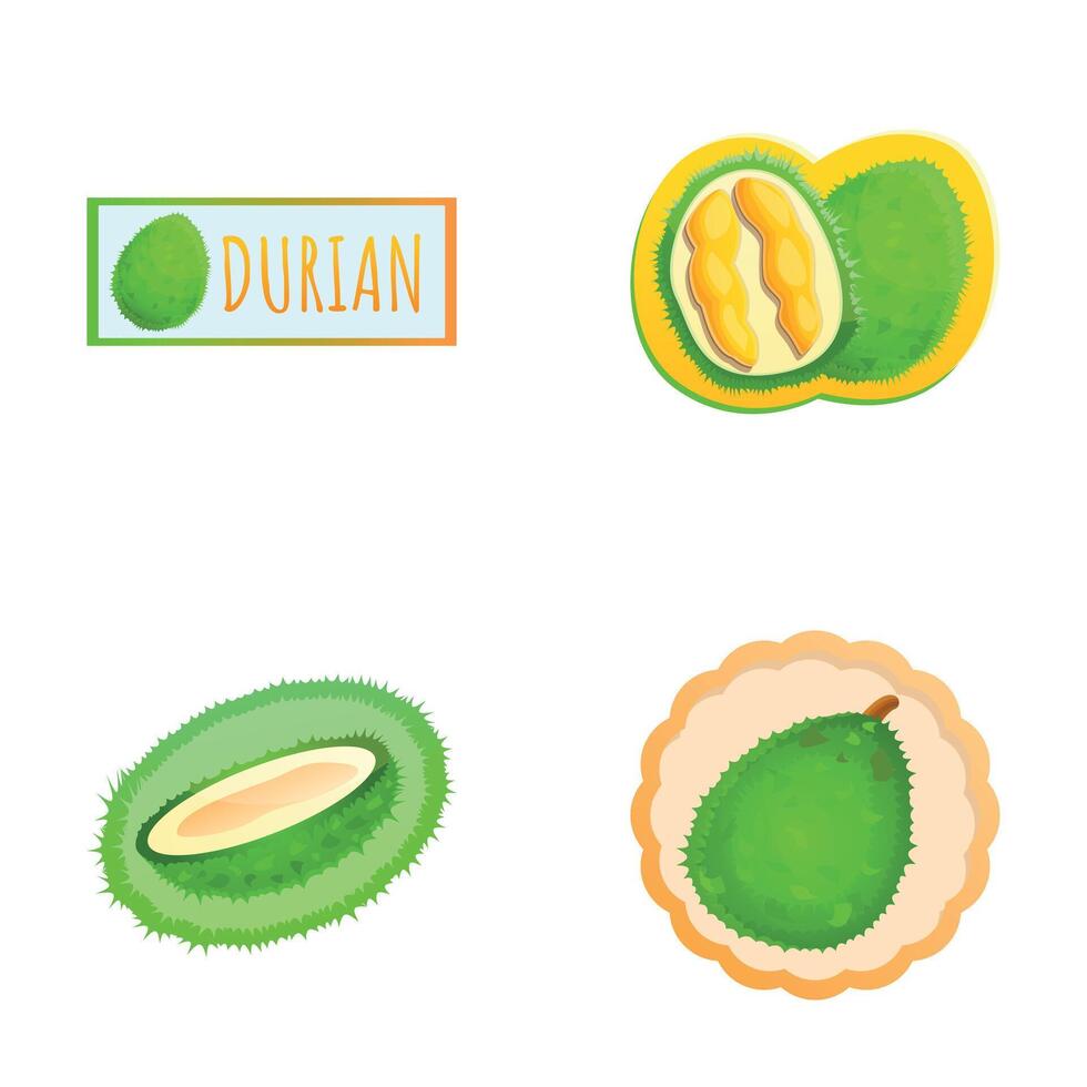 Ripe durian icons set cartoon vector. Exotic fruit vector