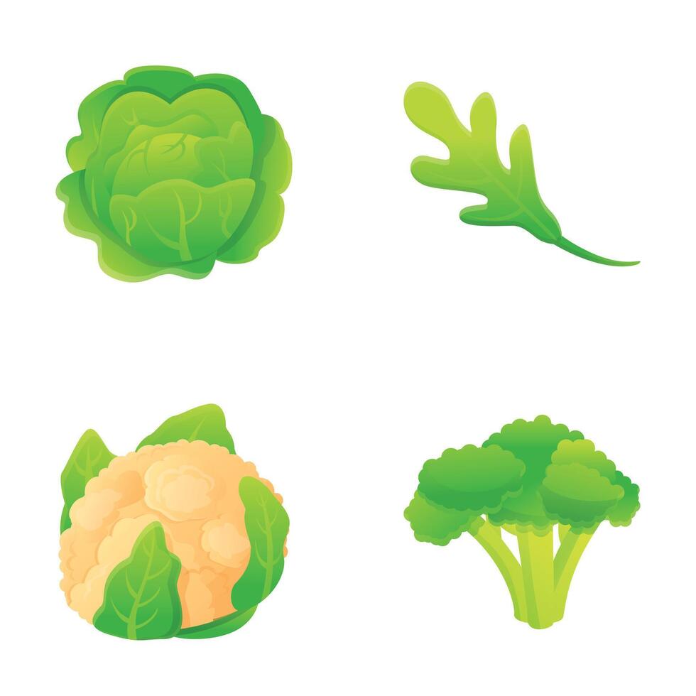 Cabbage icons set cartoon vector. Cauliflower, broccoli and white cabbage vector