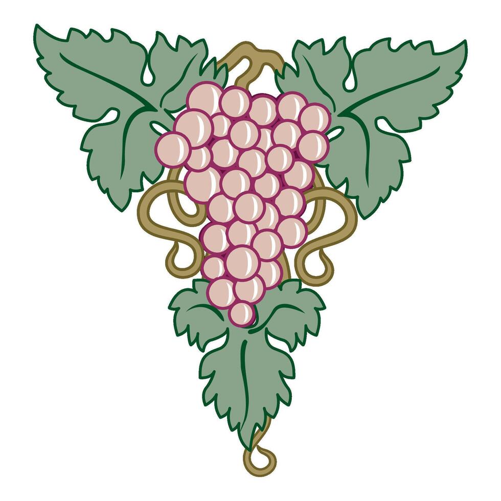 Grape vine or grape branch decorative elements, set. Isolated hanging grape twigs with green and purple berries. Framing or decor for banner design vector