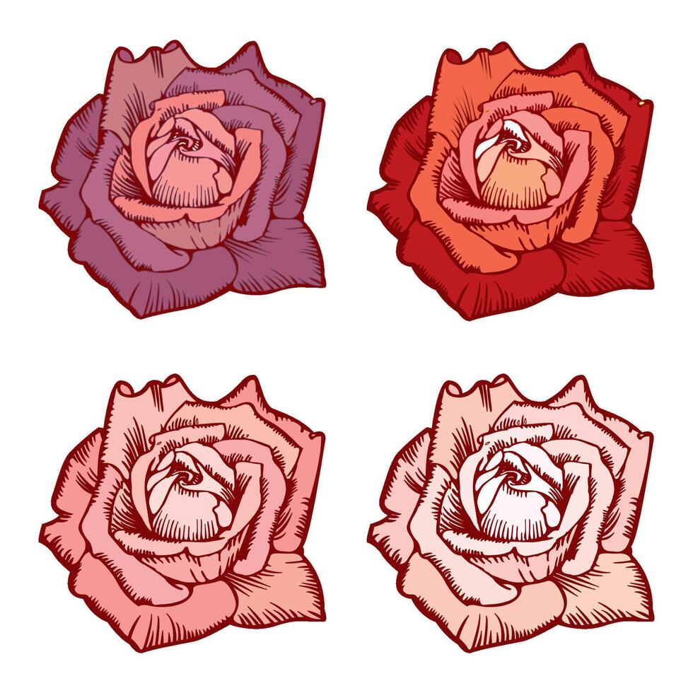 Big collection of roses in color for design. Set of highly detailed flowers in hand drawn style. vector