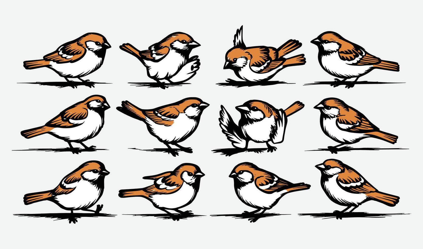 Birds Silhouette Collection Hand drawn vector