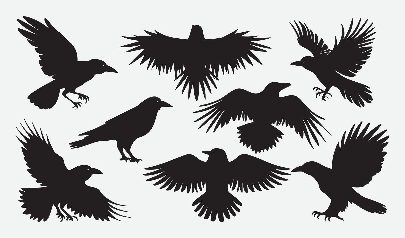 Birds Silhouette Collection Hand drawn vector