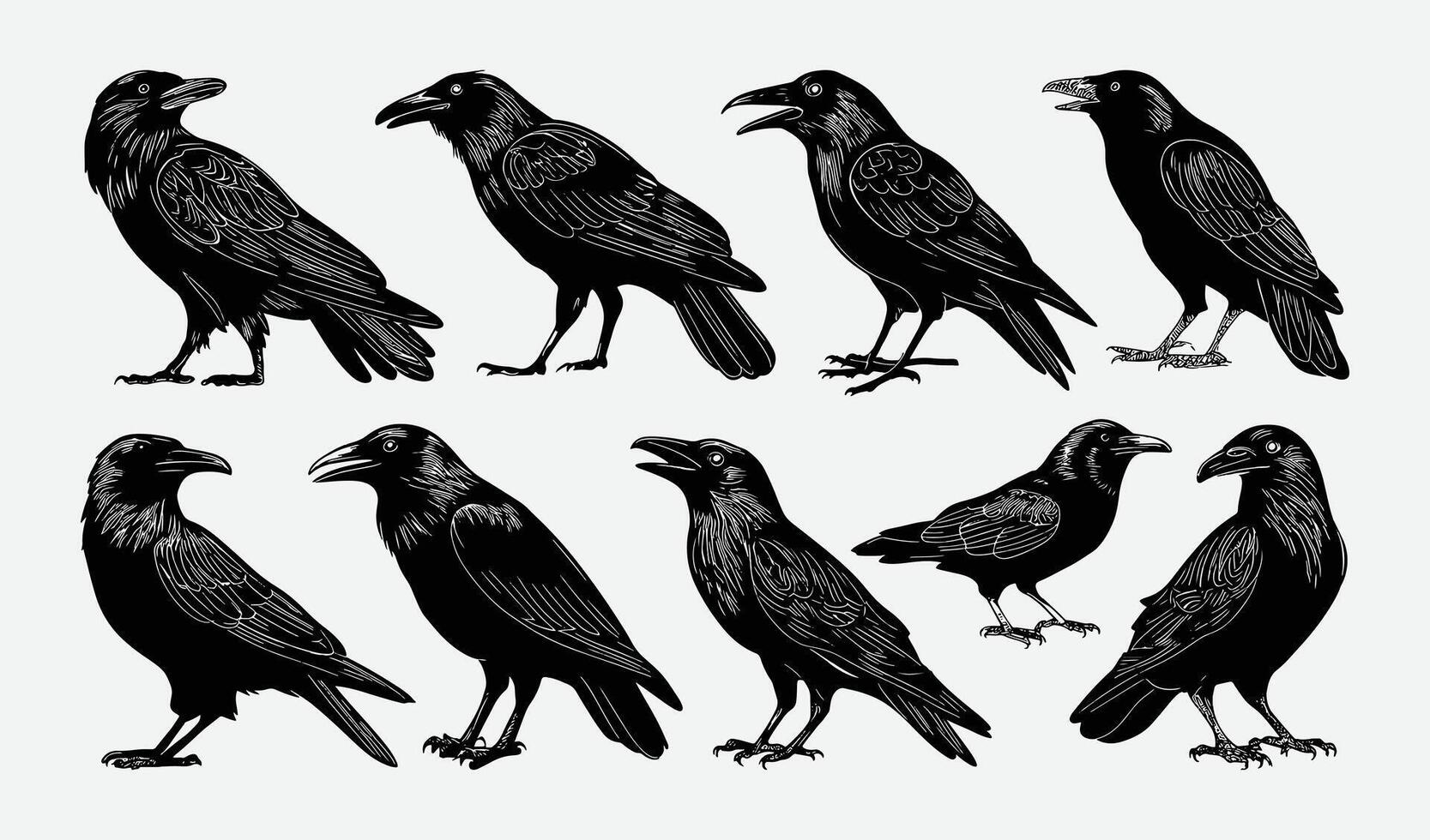 Birds Silhouette Collection Hand drawn vector