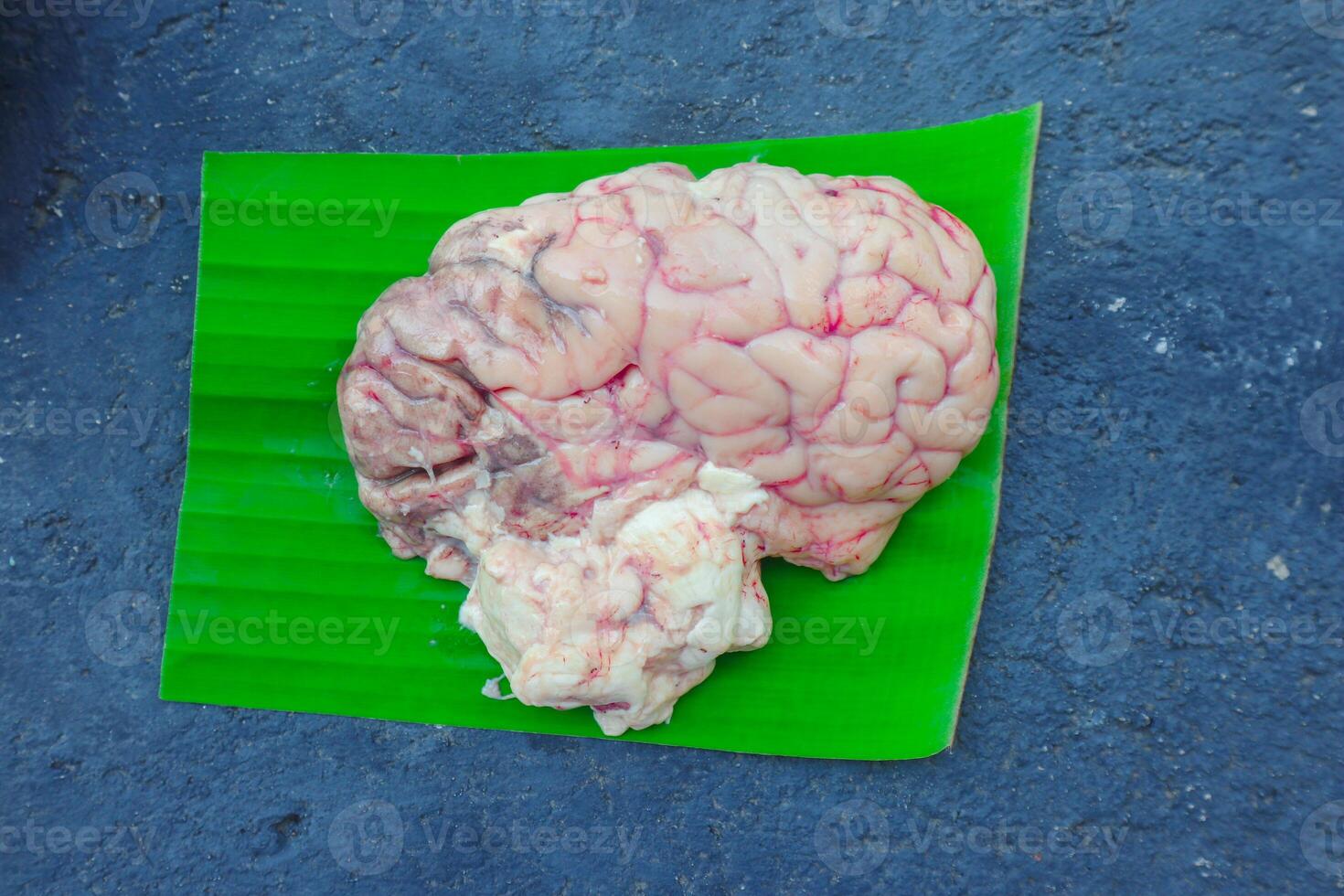 Brain cow is on a green leaf. The Brain cow is cut in half and has a red and white color photo