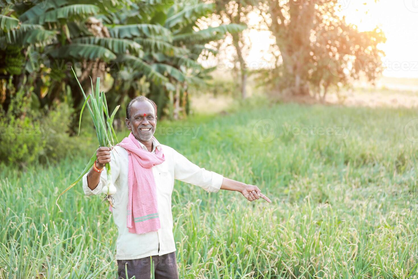 Indian farmer holding onion plant photo