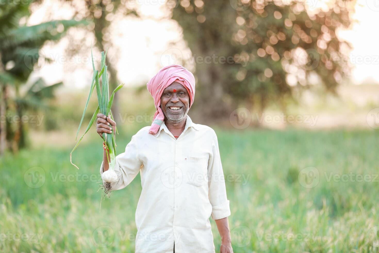 Indian farmer holding onion plant photo