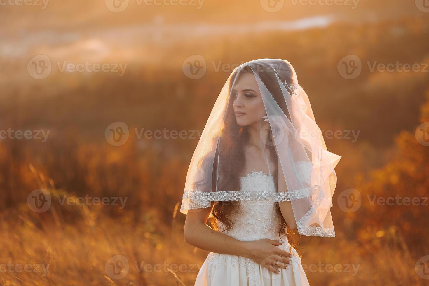 A woman in a wedding dress stands in a field with a veil covering her face. The scene is serene and peaceful, with the sun shining brightly in the background. The woman's veil adds a touch of elegance photo