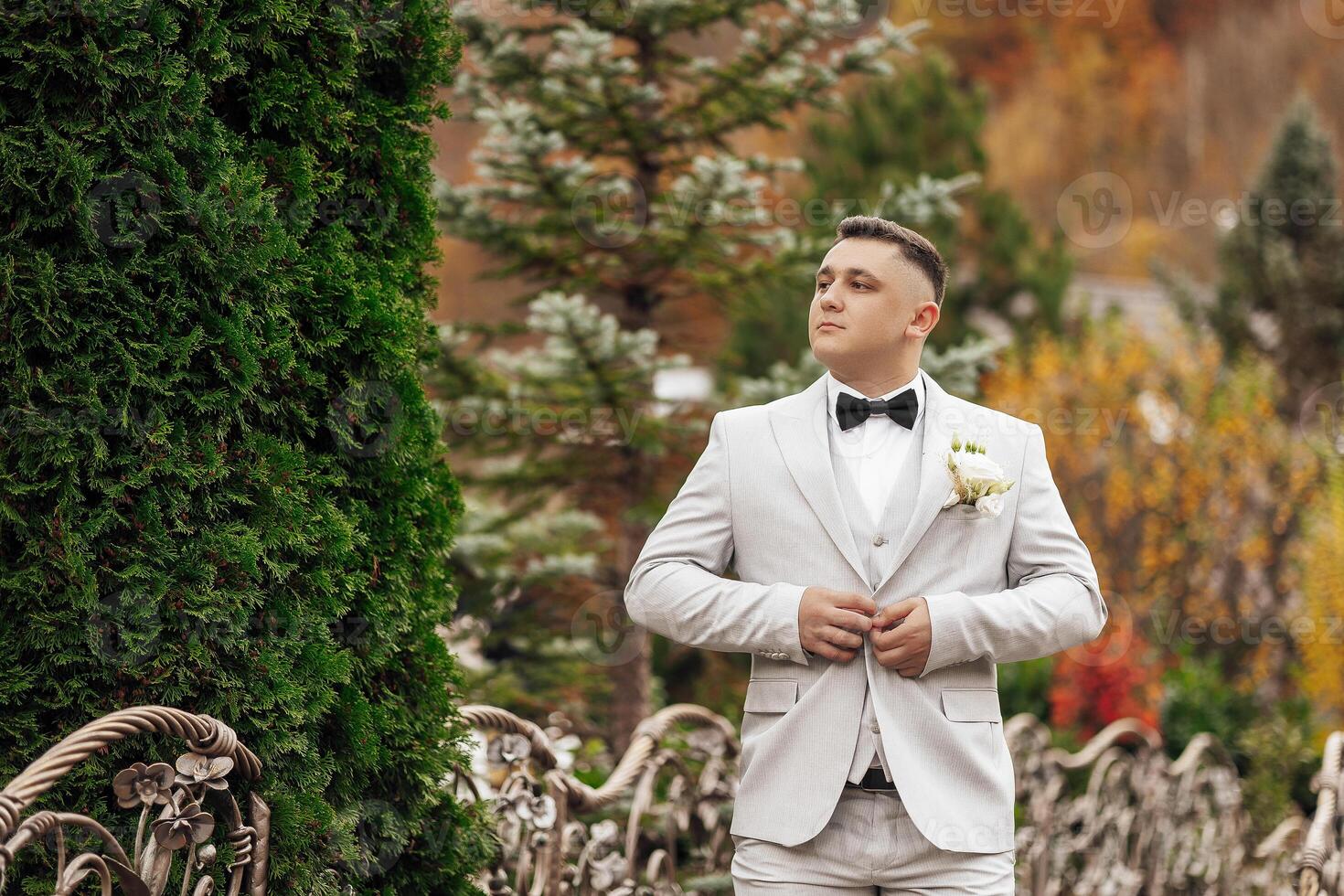 A man in a suit and tie stands in front of a green bush. He is wearing a white shirt and a black bow tie photo