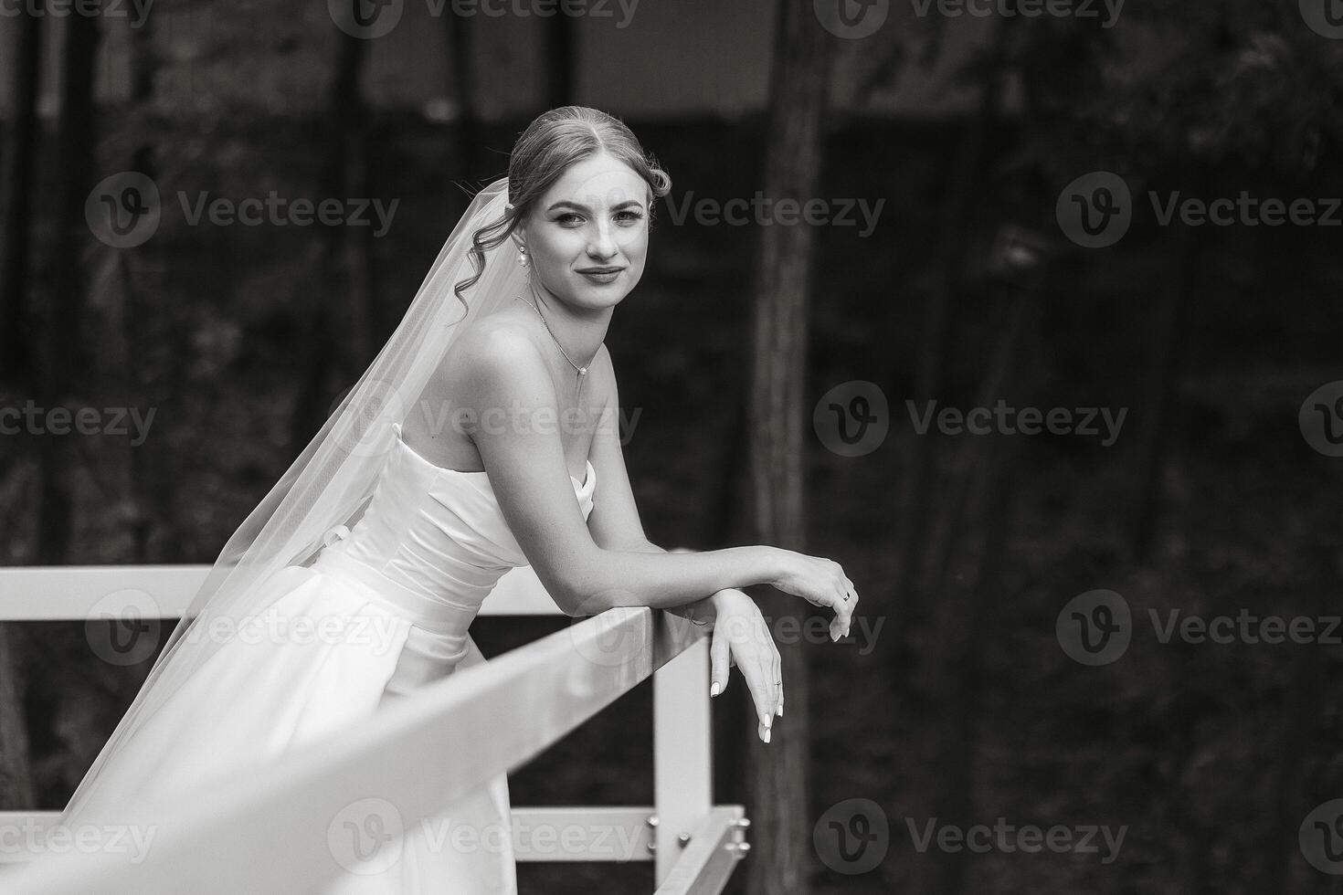 A bride is standing on a bridge with her back to the camera. She is wearing a white dress and a veil photo