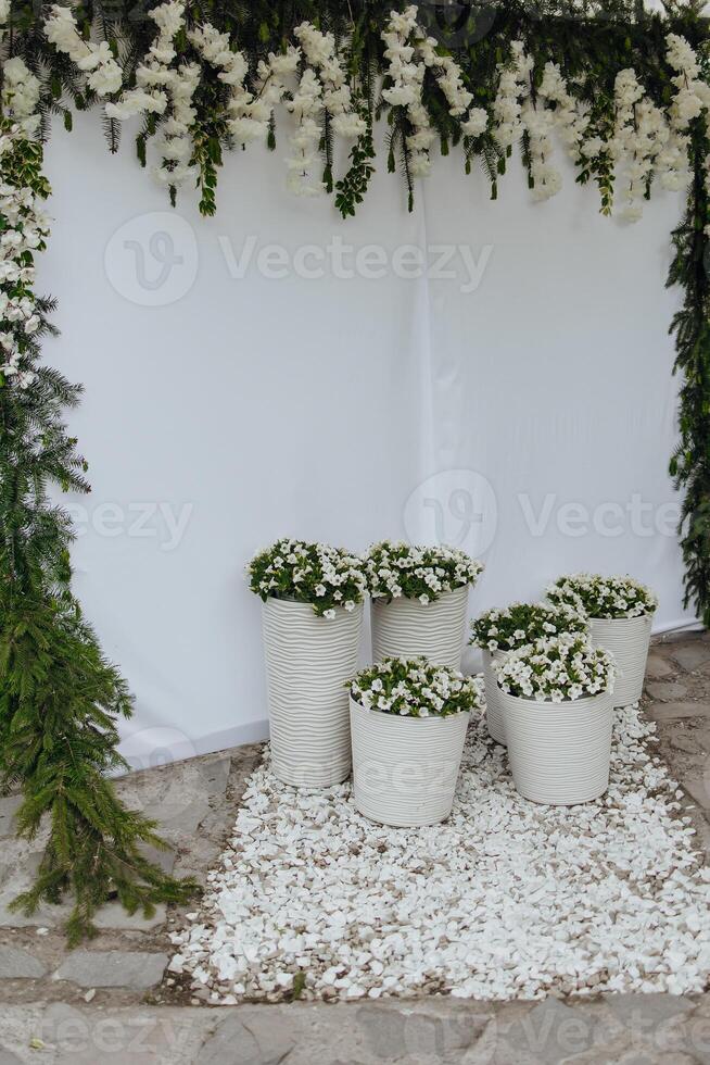 A white wall with a white curtain and a white archway photo