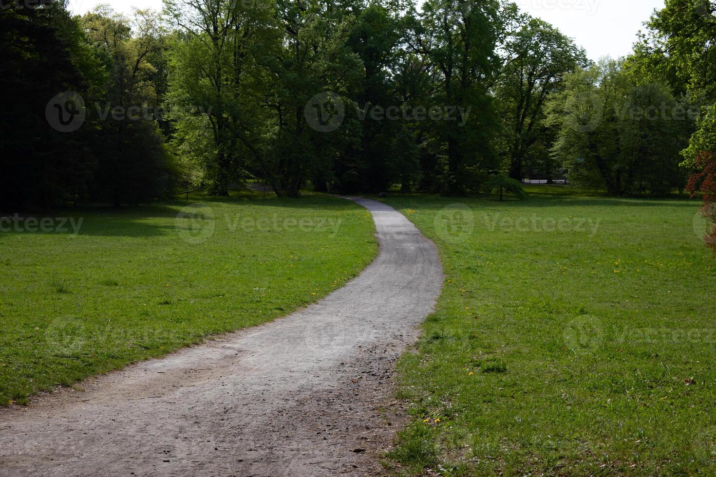 Winding path through green park on sunny day. photo