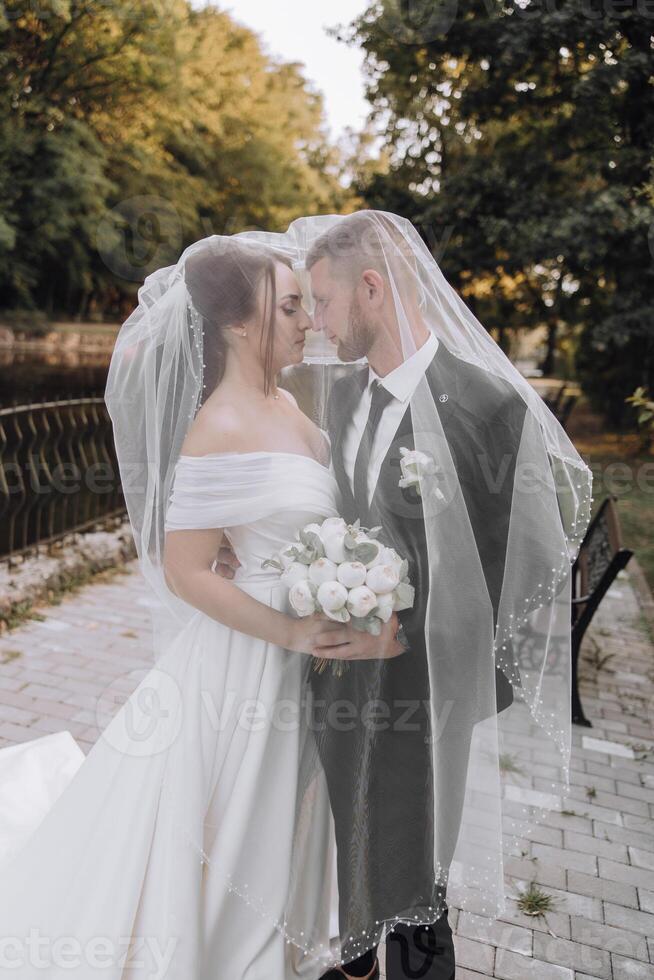 A bride and groom are kissing under a veil photo