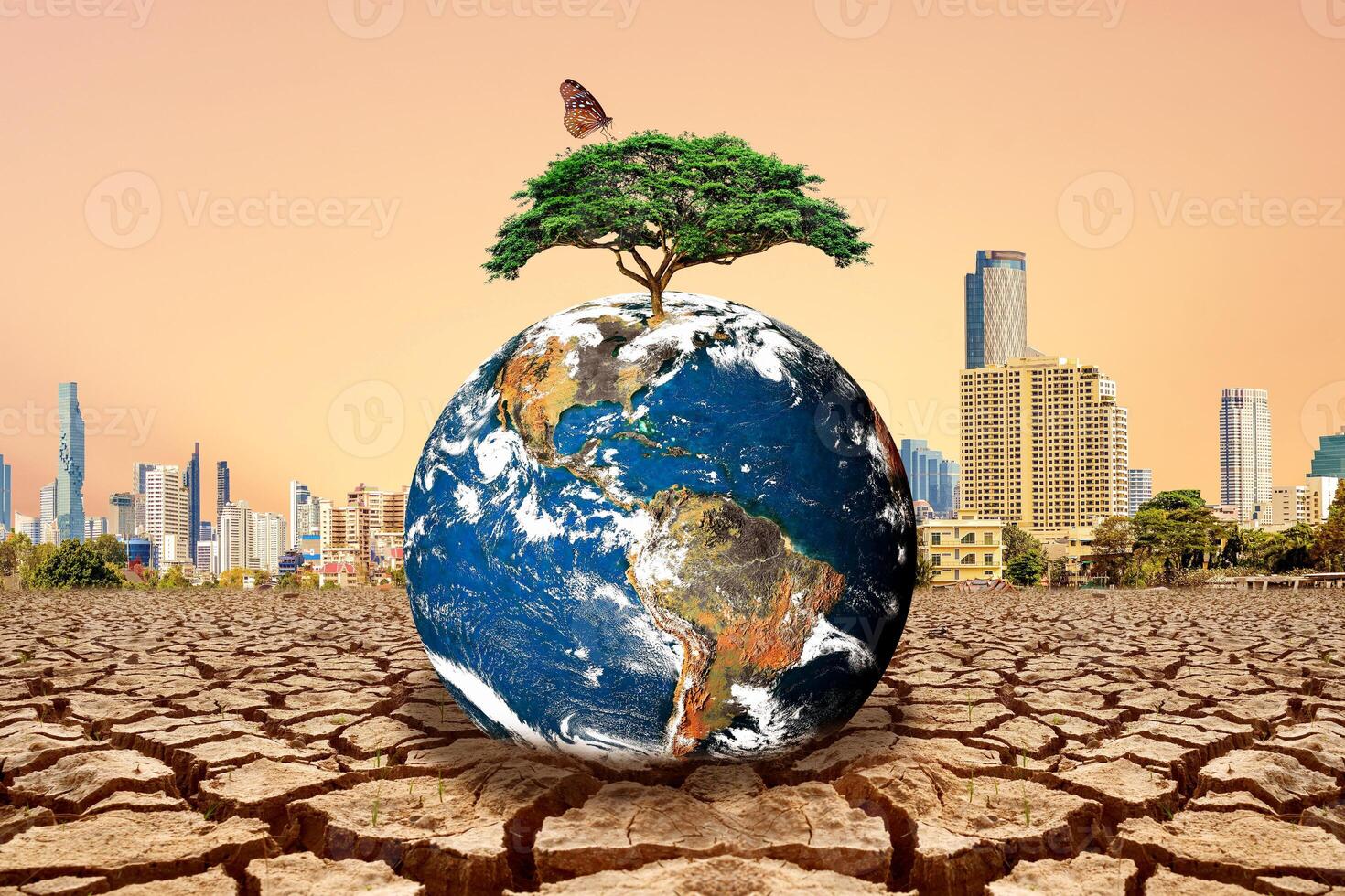Earth with Tree on Top in Dry Cracked Land with Modern City Skyline in Background photo