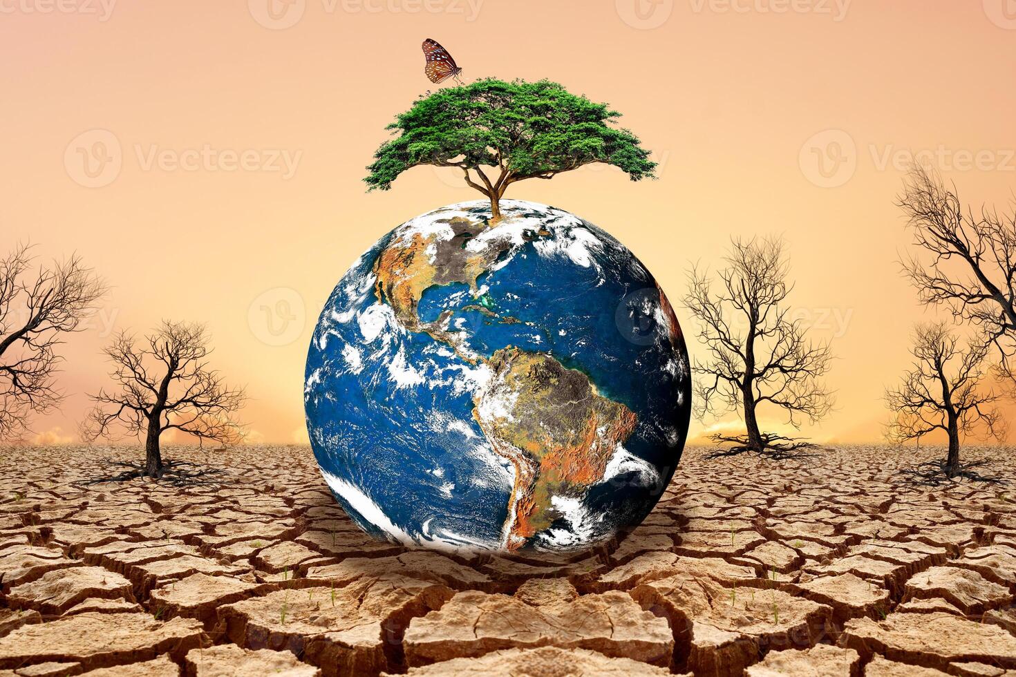 Earth with Tree on Top in Dry Cracked Desert Landscape with Dead Trees and Orange Sky photo