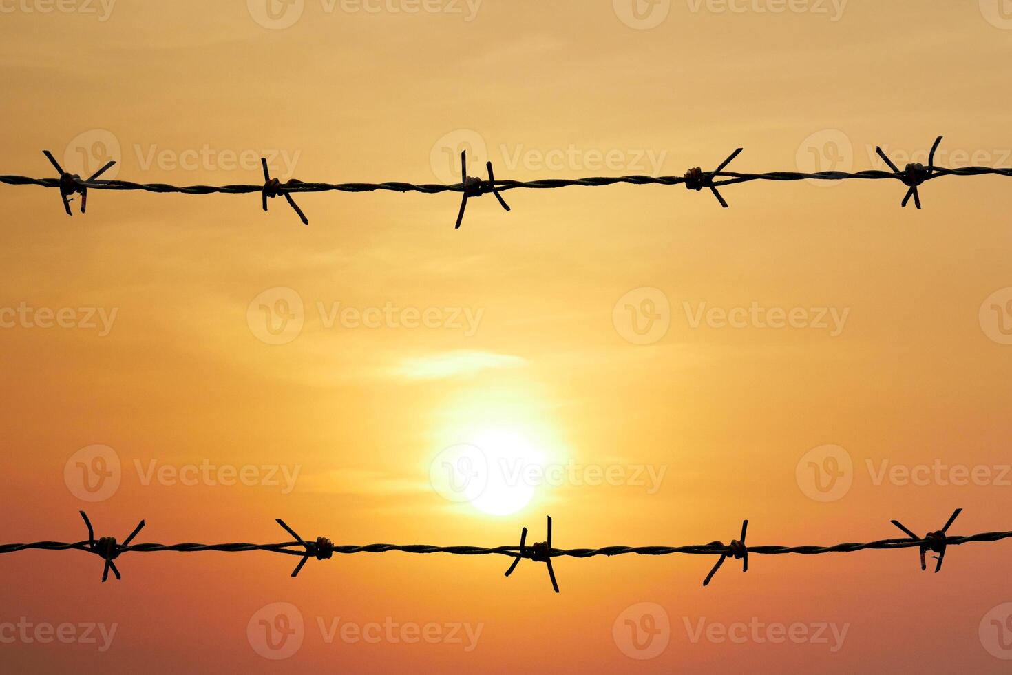 Sunset Behind Barbed Wire Fence Silhouette Against Orange Sky photo