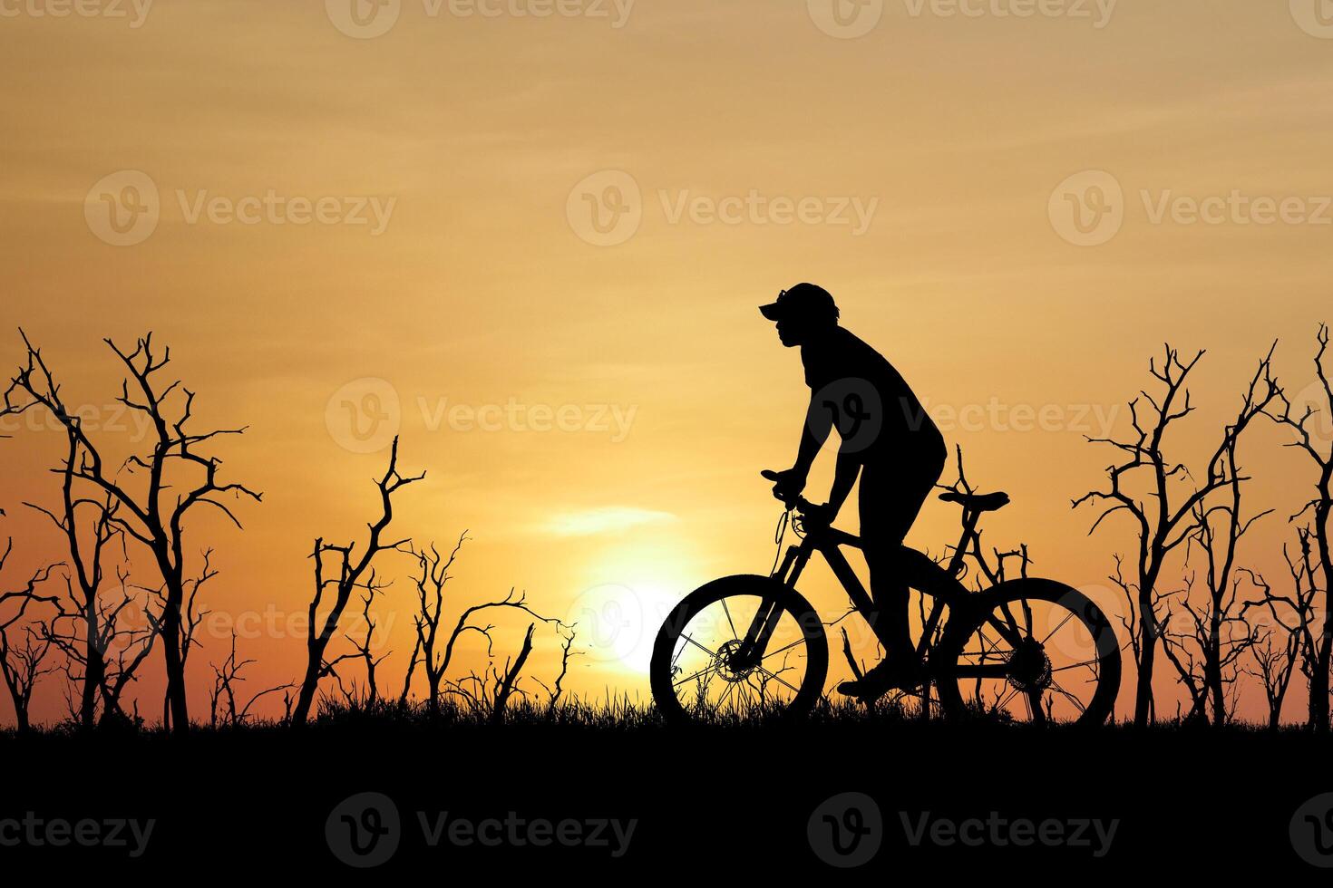 Silhouette of Cyclist Riding Bike at Sunset with Bare Trees in Background photo