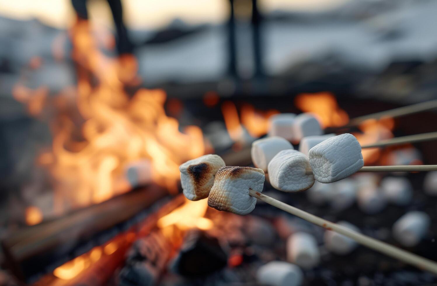 Marshmallows Roasting Over A Campfire photo
