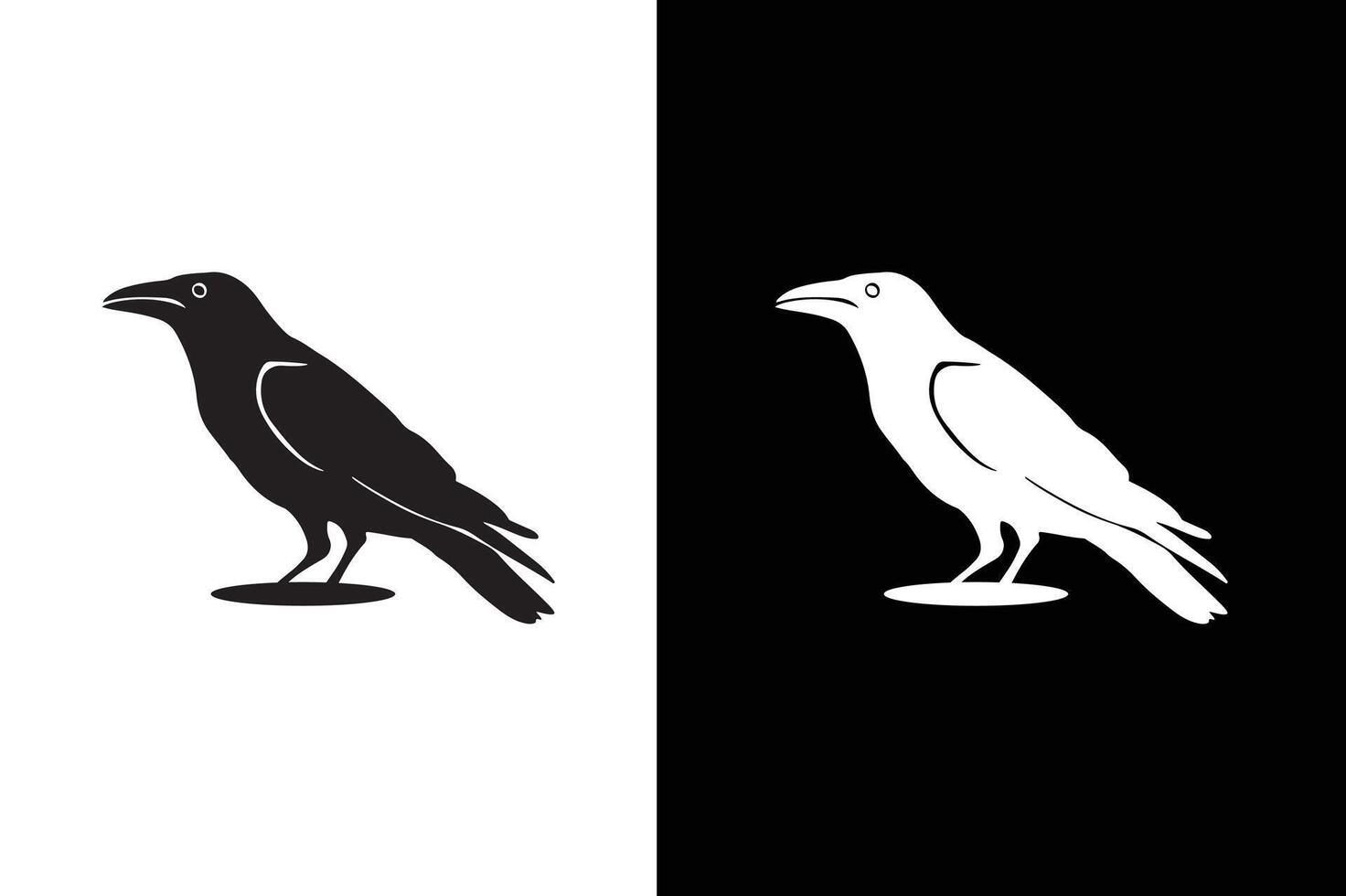 Black crow icon silhouette. of crow design isolated on black white background. vector