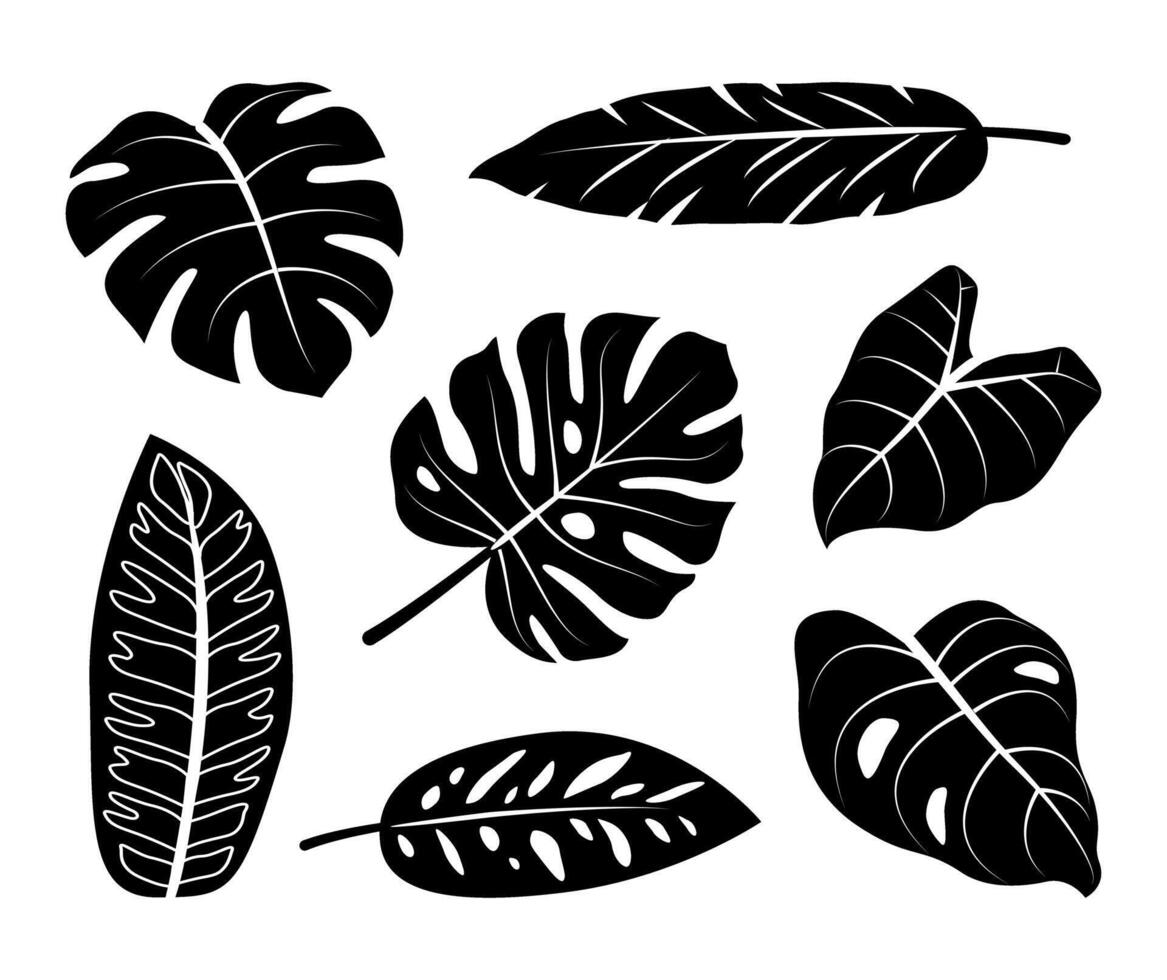 Set of tropical leaves. Black silhouette shapes isolated on white background vector