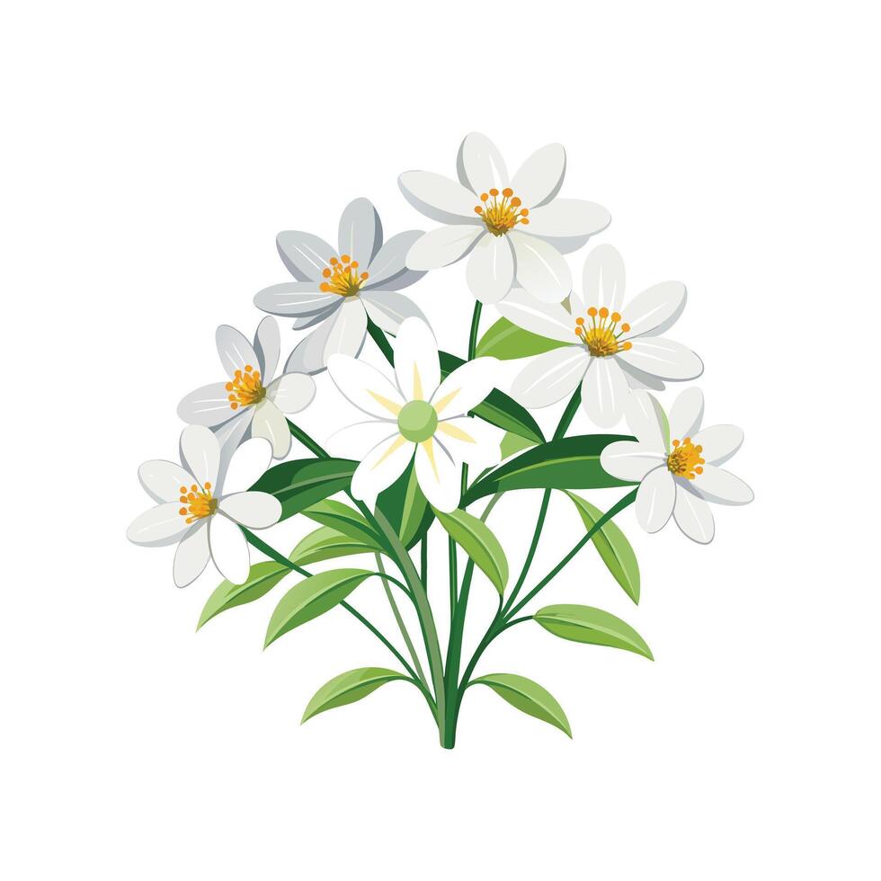 Creative Botanical set with flowers Design. vector