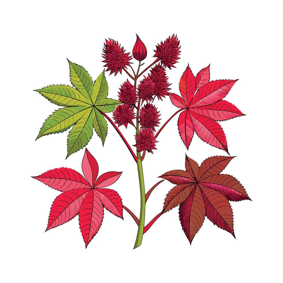 Creative Botanical set with flowers Design. vector