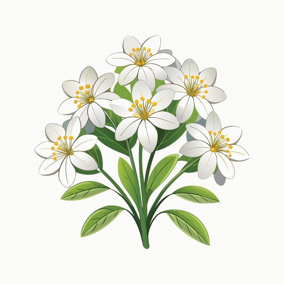 Creative Botanical set with flowers Design. vector