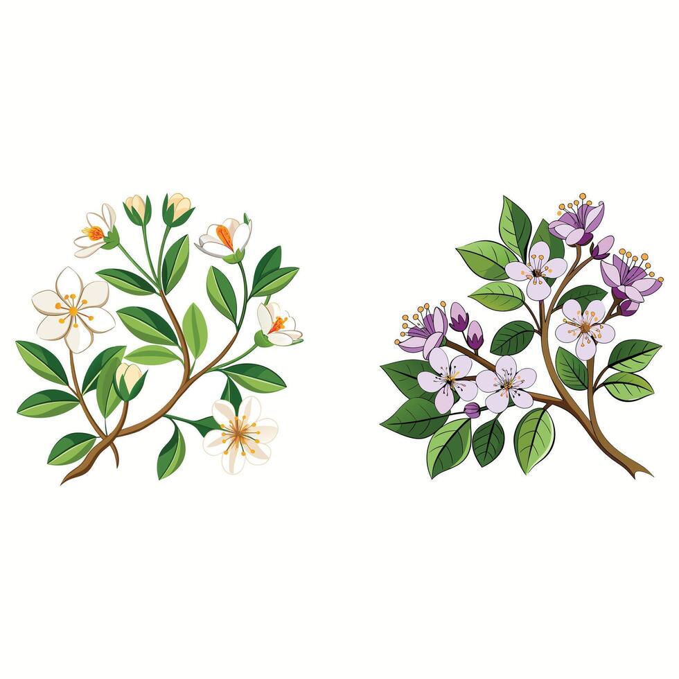 Creative Botanical set with flowers Design. vector