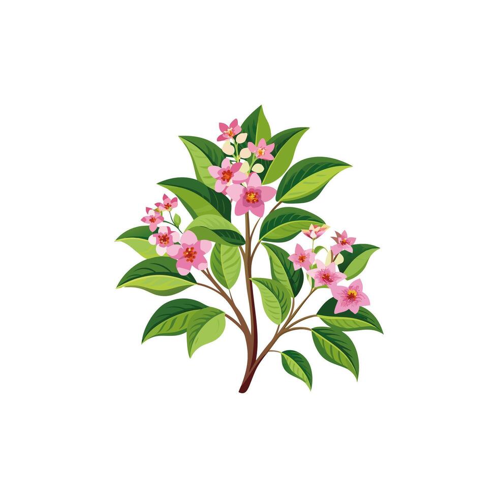 Creative Flower designs. vector