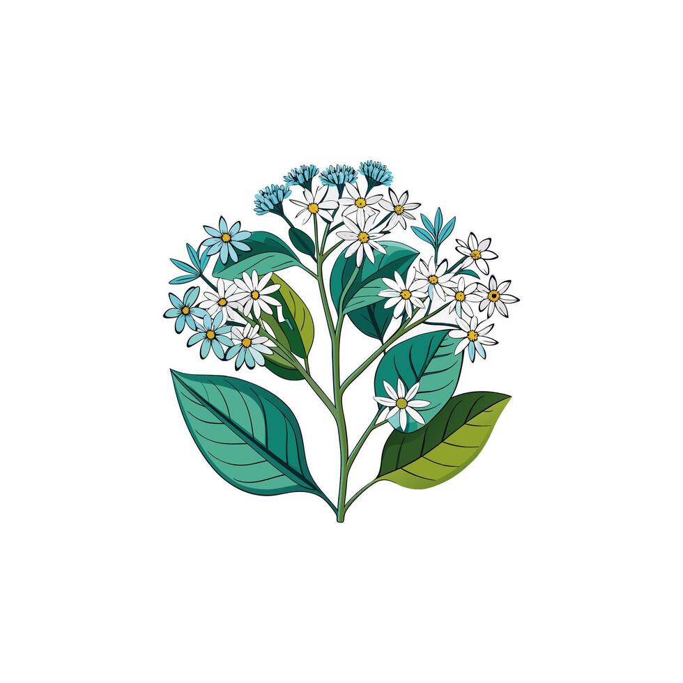 Creative Flower designs. vector
