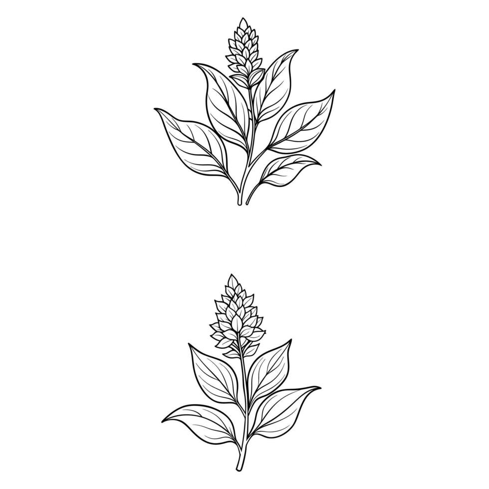 Creative flower set designs. vector