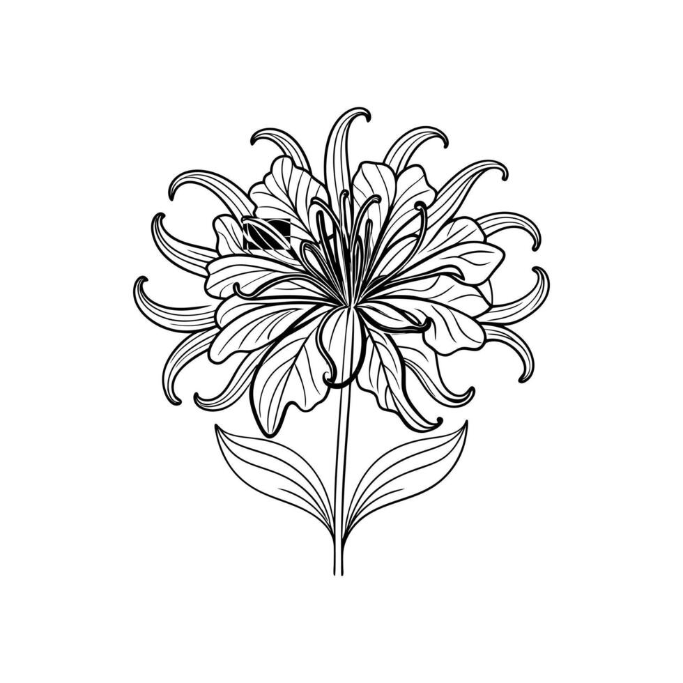 Creative flower set designs. vector