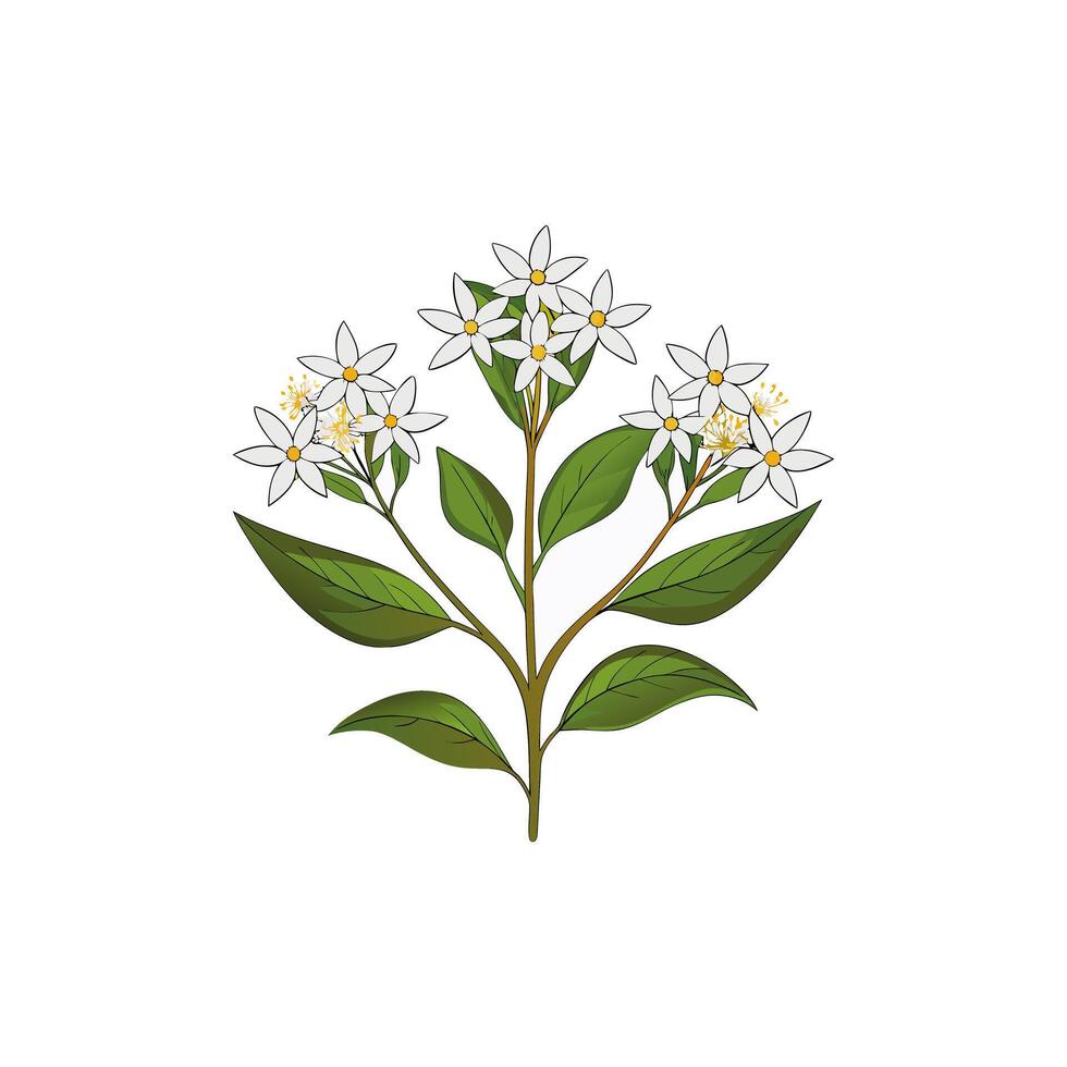 Creative Flower designs. vector