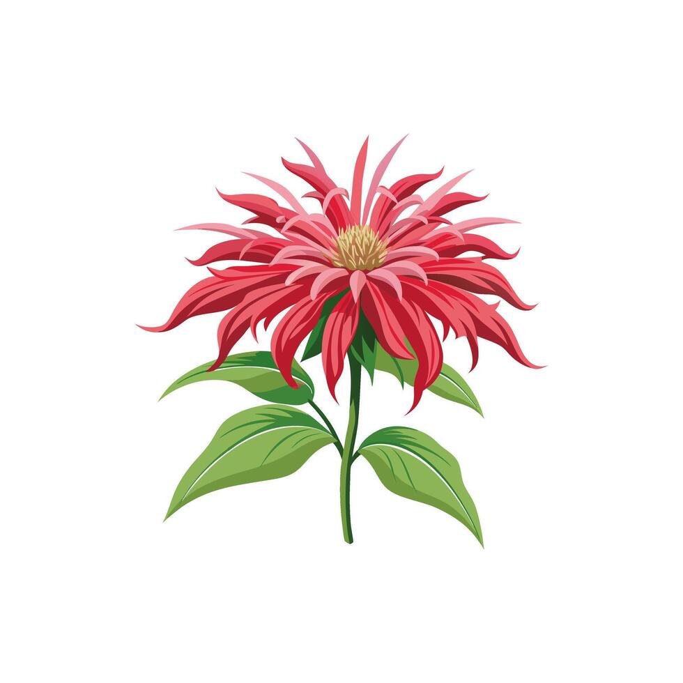 Creative Flower designs. vector