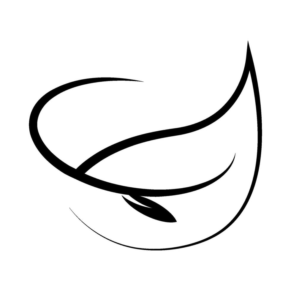 leaf icon illustration vector