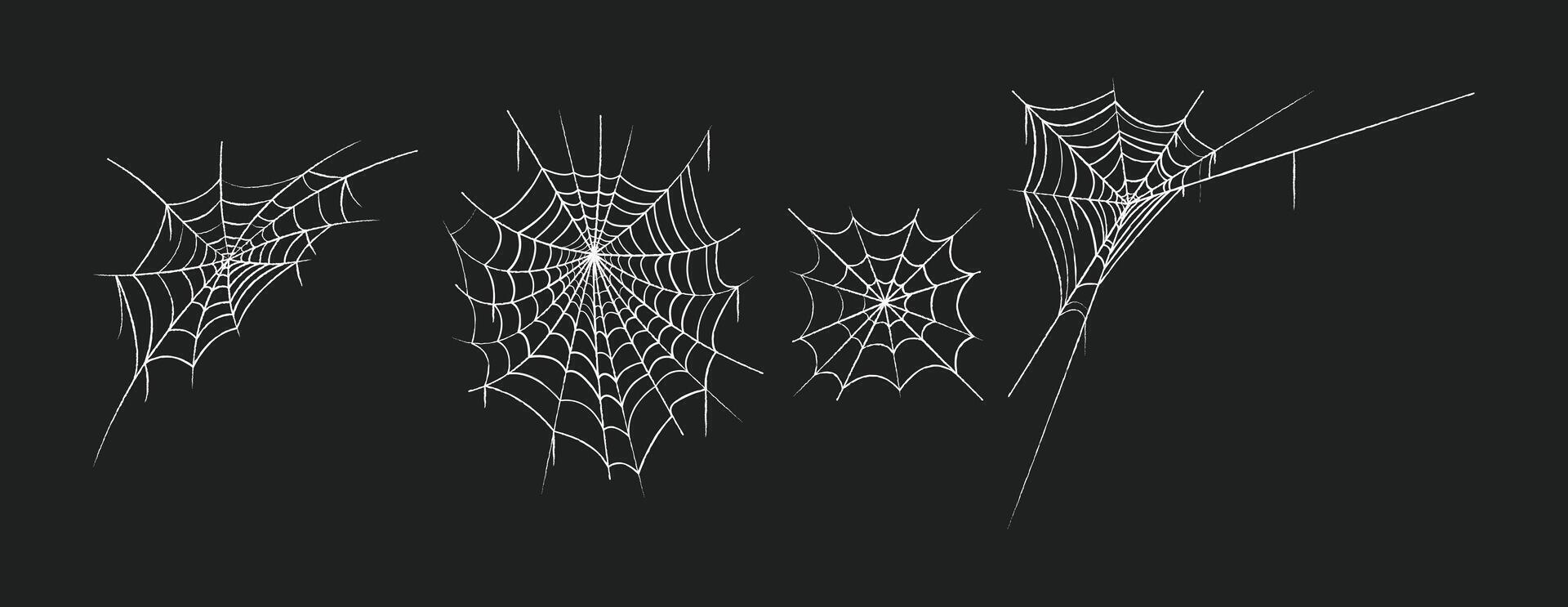 spider web drawing chalk dark background vector