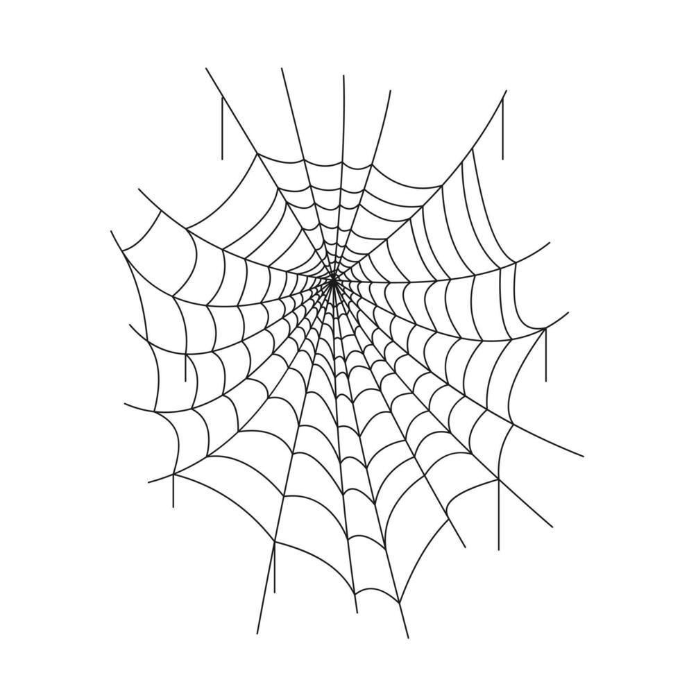 spider web drawing outline center vector
