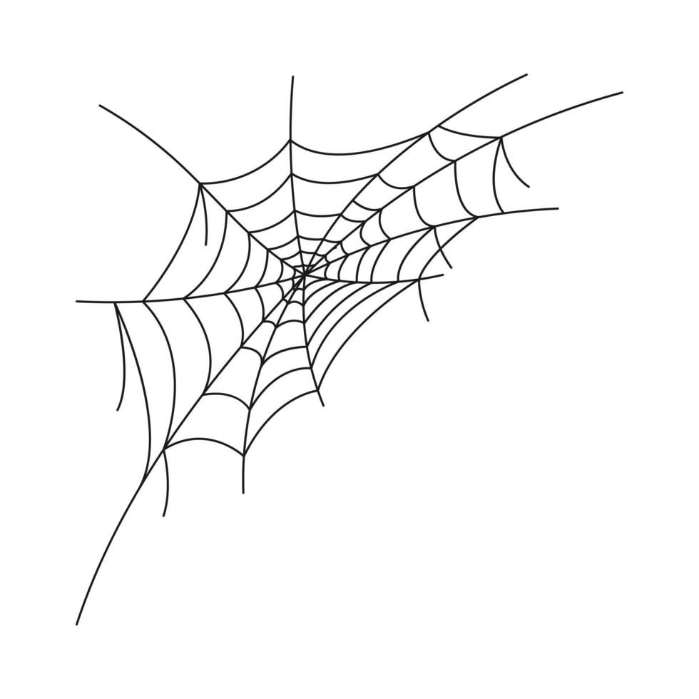 spider web drawing corner vector
