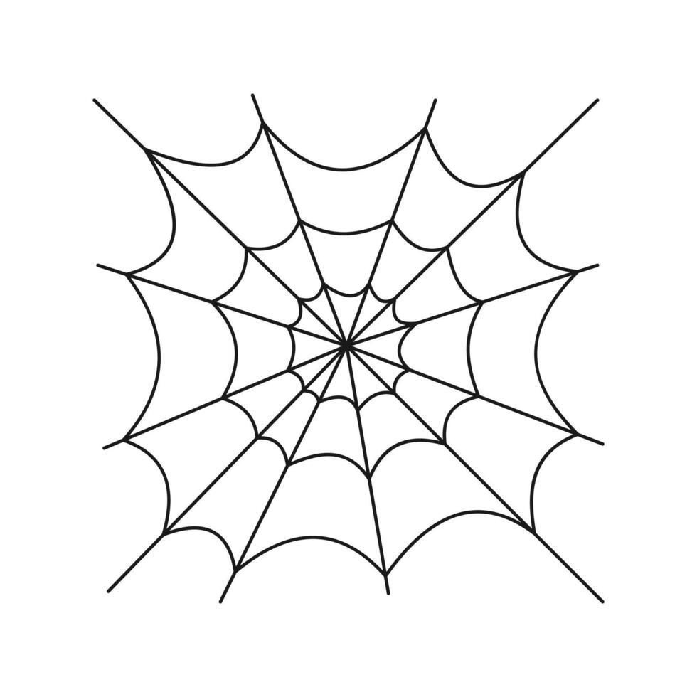 spider web drawing simple vector
