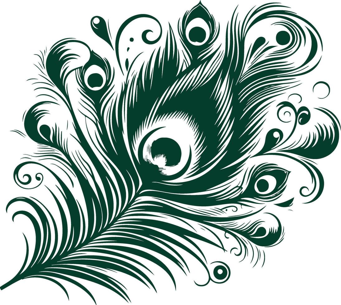 Bird Feather Silhouette in green color vector